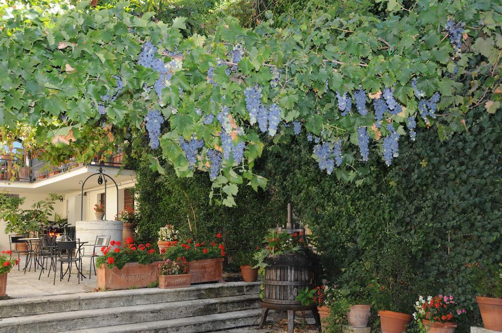 منزل الضيف San Quirico dʼOrcia  في Casa Lemmi المظهر الخارجي الصورة
